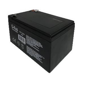 BATTERIA SLA 12V 14Ah PER BICICLETTA ELETTRICA
