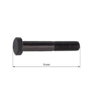 BULLONE CARTER MOTORE PIAGGIO VESPA 7x75mm.