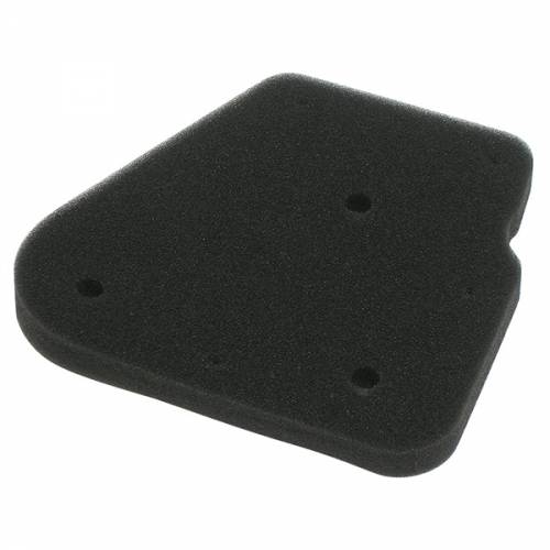 FILTRO ARIA MALAGUTI F10/F12/CENTRO - MEIWA Y4185