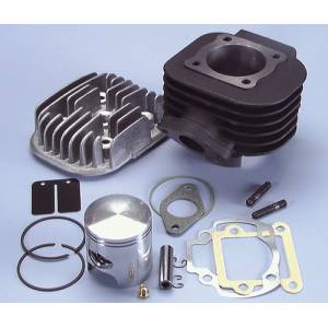 GRUPPO TERMICO MINARELLI VERTICALE ARIA d.47 POLINI