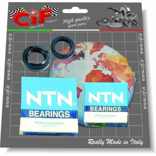 KIT REVISIONE ALBERO MOTORE PIAGGIO SCOOTER 4t. [2004