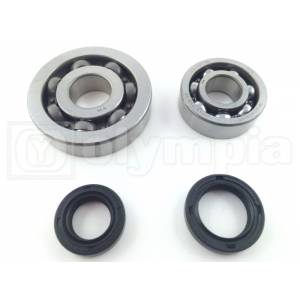 KIT REVISIONE ALBERO MOTORE PIAGGIO SCOOTER 4t. 2005]