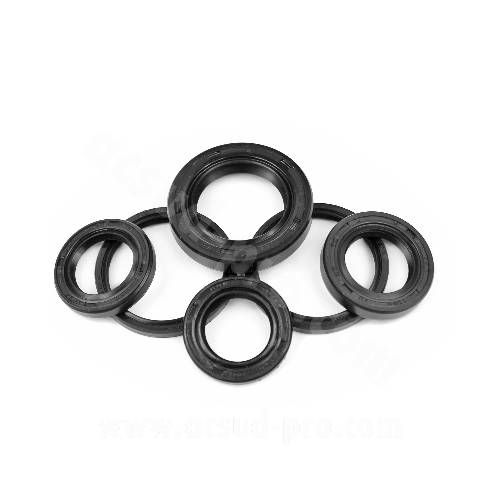 SERIE PARAOLIO MOTORE GY6 125 4t.