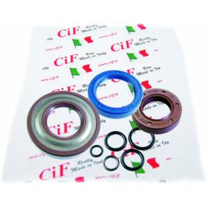 SERIE PARAOLIO MOTORE PIAGGIO VESPA 50/125 IN VITON