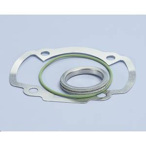 SGS HONDA/PEUGEOT POLINI