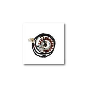 STATORE YAMAHA 530 T-MAX 2012[]2016 - OKYAMI