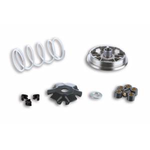 VARIATORE MALAGUTI F12R/KEEWAY/CPI MALOSSI