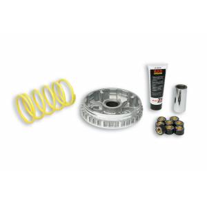 VARIATORE MALAGUTI MADISON/YAMAHA MAJESTY MULTIVAR 2000