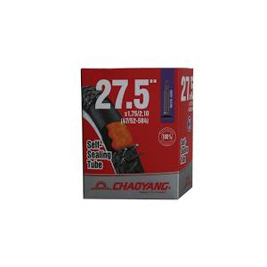 CAMERA 27-9 CHAOYANG AUTOSIGILLANTE V.PRESTA 40mm. FILETTATA