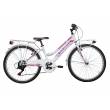 CICLO 24 MTB FEMMINA TELAIO 34 ACCIAIO 6 VELOCITA' EQUIPAGGIATA *BIANCOROSA* -  DOUBLEZZ "Violet"
