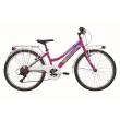 CICLO 24 MTB FEMMINA TELAIO 34 ACCIAIO 6 VELOCITA' EQUIPAGGIATA *CICLAMINO* -  DOUBLEZZ "Violet"