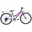 CICLO 24 MTB FEMMINA TELAIO 34 ACCIAIO 6 VELOCITA' EQUIPAGGIATA *LILLA* -  DOUBLEZZ "Violet"