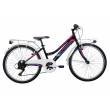 CICLO 24 MTB FEMMINA TELAIO 34 ACCIAIO 6 VELOCITA' EQUIPAGGIATA *NERA* -  DOUBLEZZ "Violet"