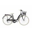 CICLO 28 CITY DONNA TELAIO 42 ACCIAIO 6 VELOCITA' *NERO OPACO* CON CESTNO IN TINTA - ADRIATICA Panda 28