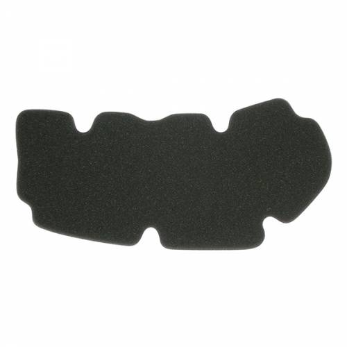 FILTRO ARIA PEUGEOT GEOPOLIS/EXECUTIVE/GEO RS 125 2007[]2010