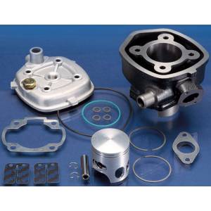 GRUPPO TERMICO MINARELLI ORIZZONTALE H2O d.47 POLINI