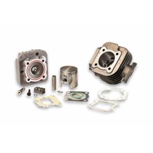 GRUPPO TERMICO MINARELLI VERTICALE ARIA d.47 - MALOSSI