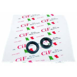 KIT PARAOLIO ALBERO MOTORE PIAGGIO SCOOTER 4t. 17x28x7+22x32x7