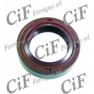 PARAOLIO 18x28x7 RP VM