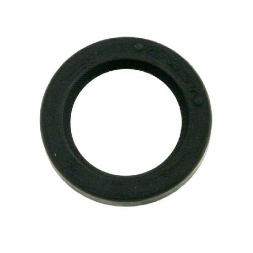 PARAOLIO 24x35x6 HSCR