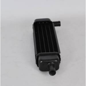 RADIATORE ACQUA PHANTOM