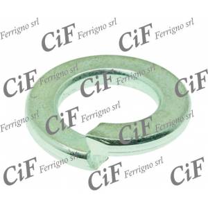 RONDELLA 6mm. GROWER