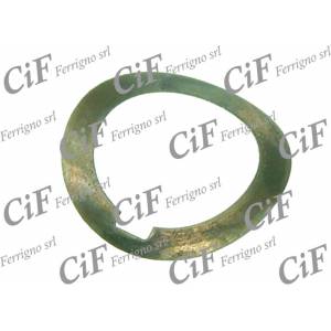 RONDELLA CAMME VOLANO