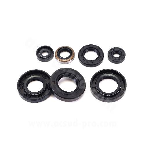 SERIE PARAOLIO MOTORE DERBI 50 SENDA EURO 3/4