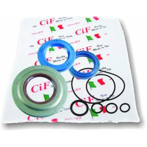 SERIE PARAOLIO MOTORE PIAGGIO VESPA PX 200 VITON CON OR