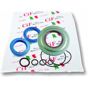 SERIE PARAOLIO MOTORE PIAGGIO VESPA T5 IN VITON CON OR