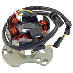 STATORE 6 POLI APRILIA/PIAGGIO 50 MOTORE DERBI /PIAGGIO