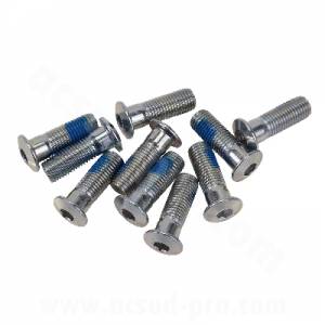 VITE FISSAGGIO DISCO FRENO 10x30mm. TESTA A BASE PIATTA CON BORDO CENTRAGGIO