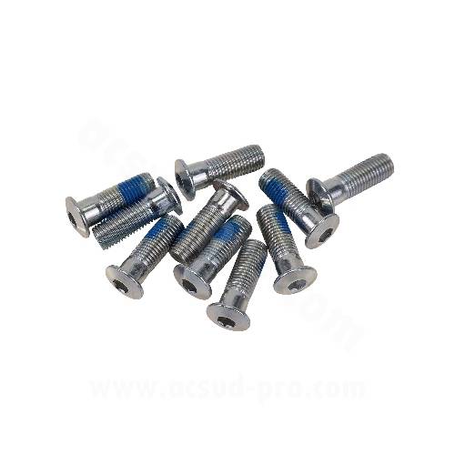 VITE FISSAGGIO DISCO FRENO 10x30mm. TESTA A BASE PIATTA CON BORDO CENTRAGGIO