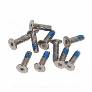 VITE FISSAGGIO DISCO FRENO 6x20mm. TESTA A BASE PIATTA