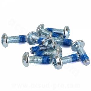 VITE FISSAGGIO DISCO FRENO 8x25mm. TESTA A BASE PIATTA