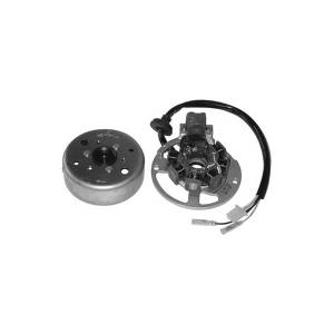 VOLANO COMPLETO MOTORI MINARELLI ( ug.16.3575)