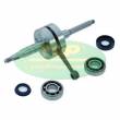 ALBERO MOTORE MINARELLI ORIZZONTALE CORSA 39,2mm. CON CUSCINETTI - TOP PERFORMANCES Tpr