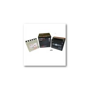 BATTERIA YTX14-BS12V 12Ah CON ACIDO A CORREDO - OKYAMI OTX14-BS