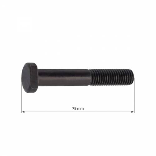 BULLONE CARTER MOTORE PIAGGIO VESPA 7x75mm.