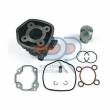 CILINDRO COMPLETO MINARELLI ORIZZONTALE H2O d.40 - DR
