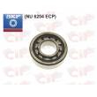 CUSCINETTO 20x47x14 A RULLI - SKF NU 6204-ECP
