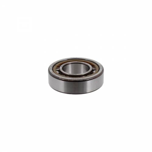 CUSCINETTO 25x52x15 A RULLI - SKF NU205 EPC-C3
