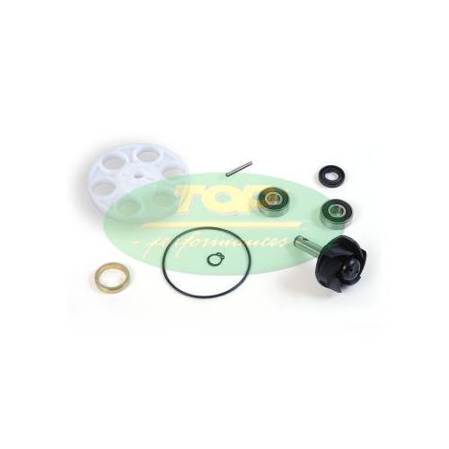 KIT REVISIONE GIRANTE POMPA ACQUA MINARELLI CON ROTELLA DI TRAINO - TOP PERFORMANCE