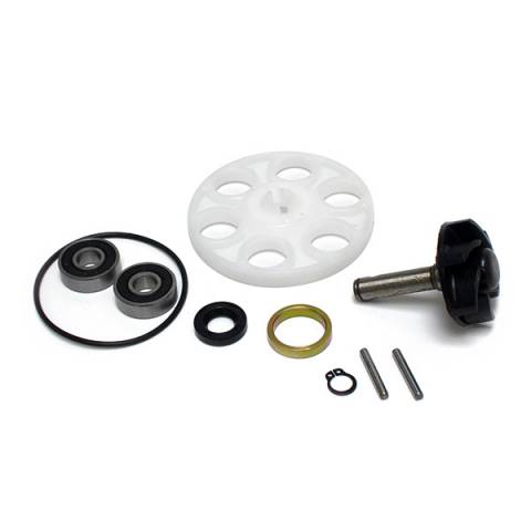 KIT REVISIONE GIRANTE POMPA ACQUA MINARELLI CON ROTELLA DI TRAINO - TOP PERFORMANCE