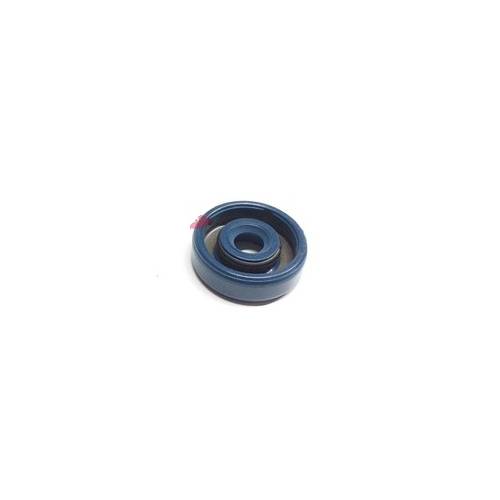 PARAOLIO  6x19x7 TENUTA ALBERINO RINVIO CONTAKM PIAGGIO 50 APE