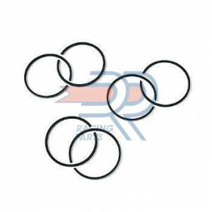 SEGMENTO 40,0 X 1,5 SEMITRAPEZOIDALE GRANO NORMALE IN COPPIA - DR