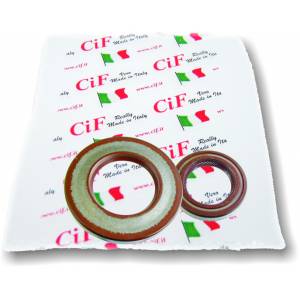 SERIE PARAOLIO MOTORE PIAGGIO APE TMP602/TMP703