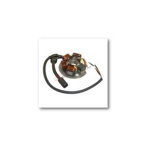 STATORE PIAGGIO 50 VESPA/APE 5 SPINE (ex 199500) - DUCATI ENERGIA