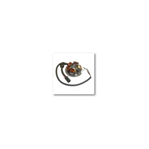 STATORE PIAGGIO 50 VESPA/APE 5 SPINE (ex 199500) - DUCATI ENERGIA
