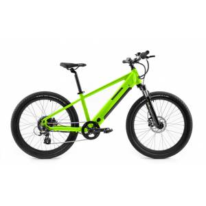 CICLO ELETTRICO MTB 24 TELAIO 35 ALLUMINIO 7 VELOCITA' *VERDE* - WORLD DIMENSION Flash